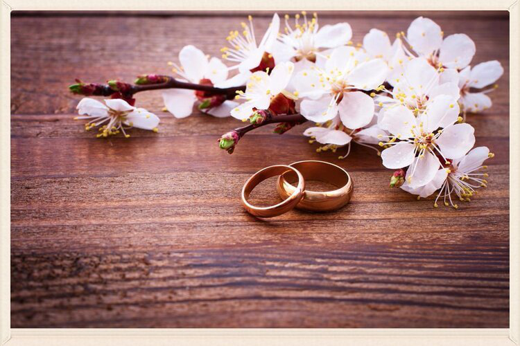 Close-up of engagement rings captured professionally